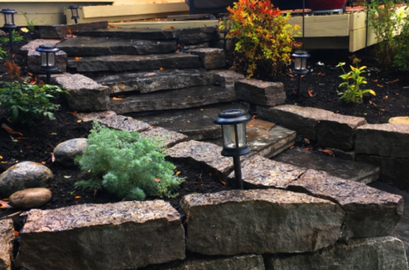 Outdoor stone steps and plants