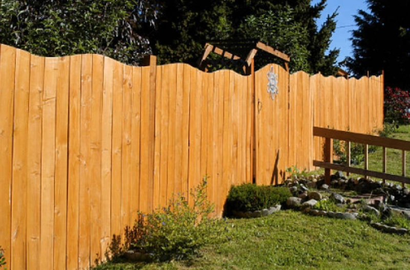 Tall wooden fence in backyard
