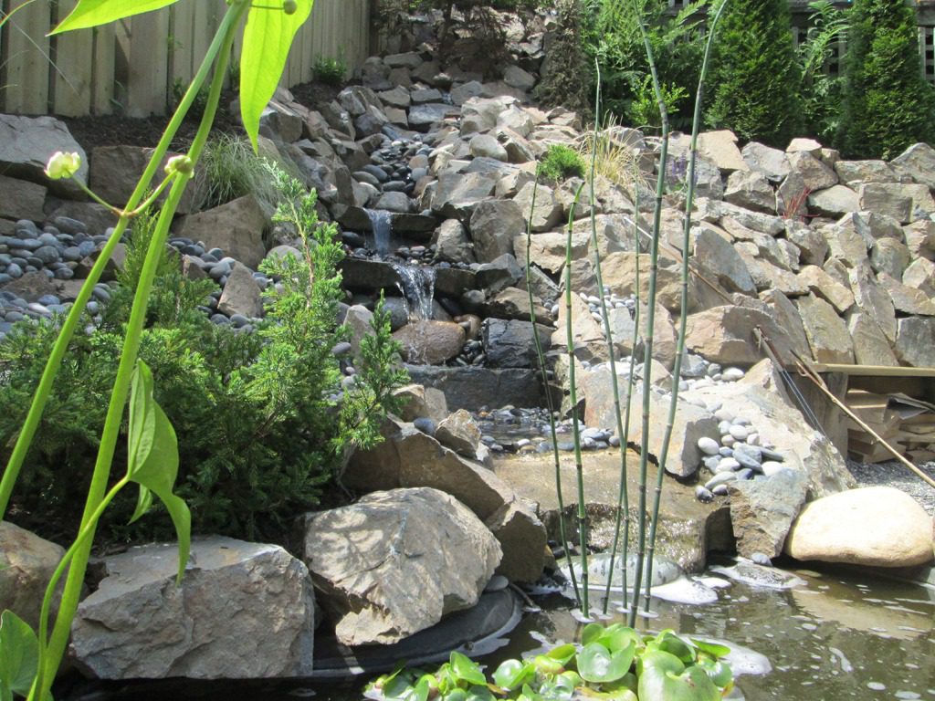 Tranquil garden pond with flowing water