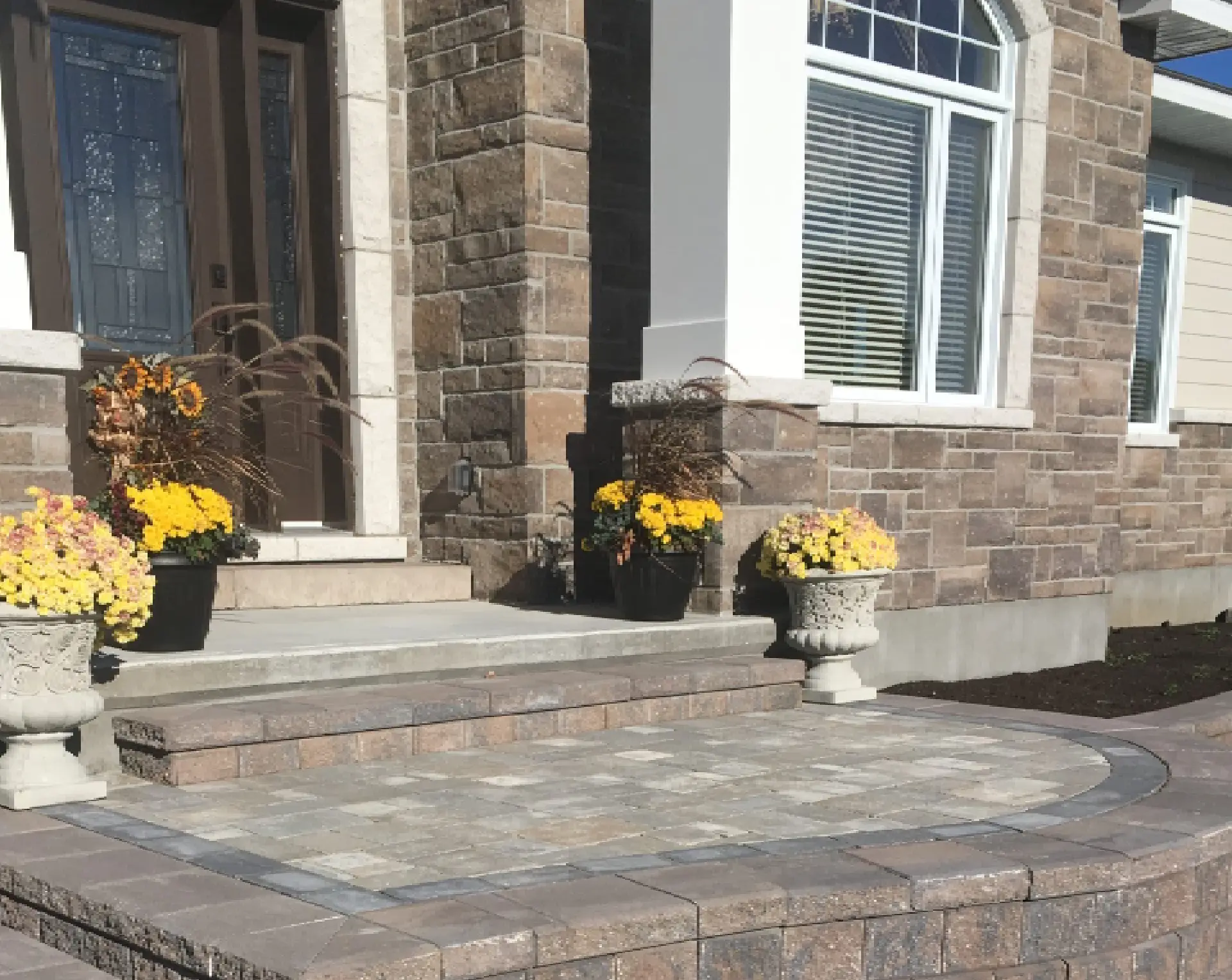 Potted plants decorating home entryway