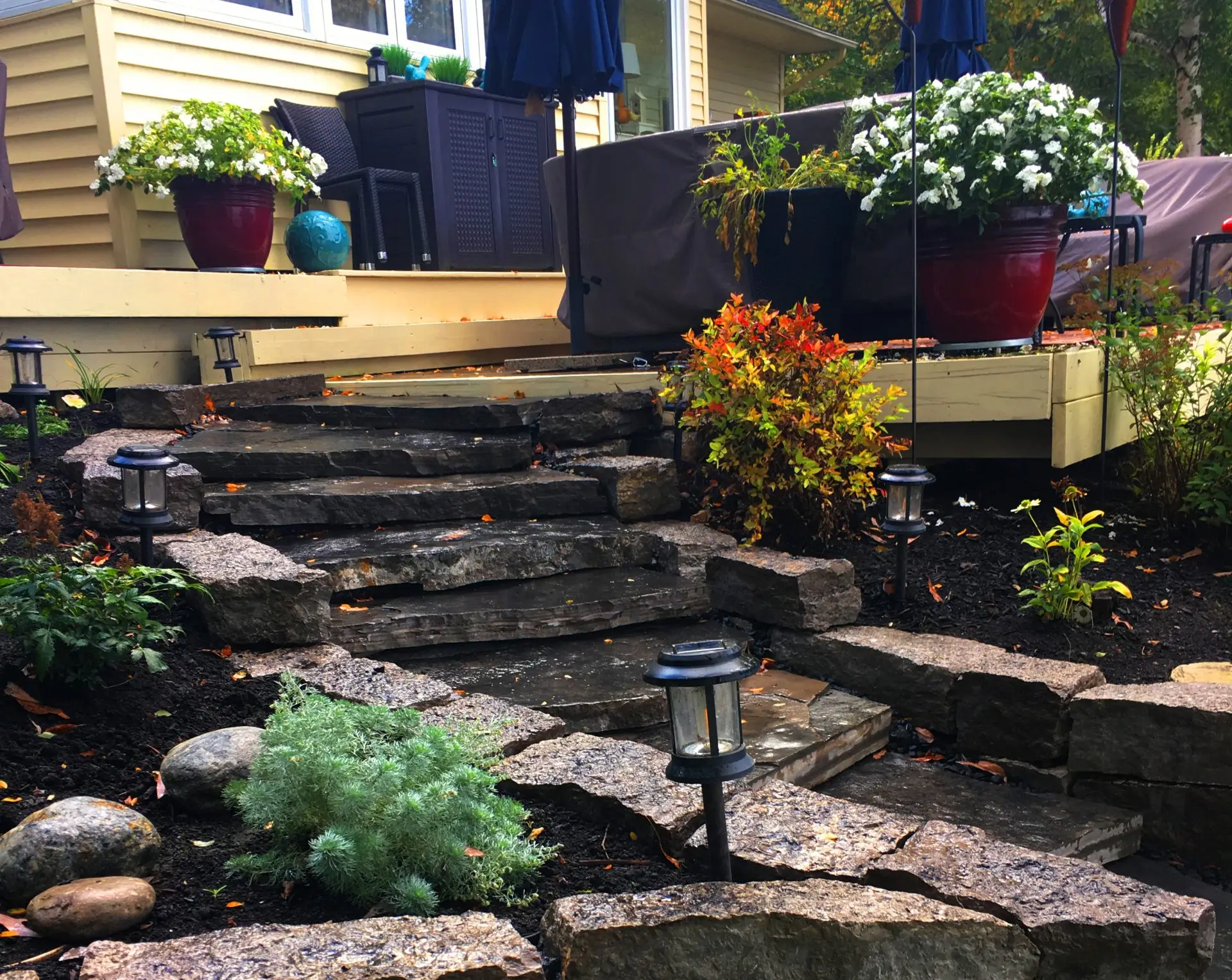 Deck with potted plants